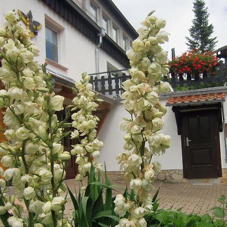 Ferienhaus Haus Am Wald Stolberg  Luaran gambar