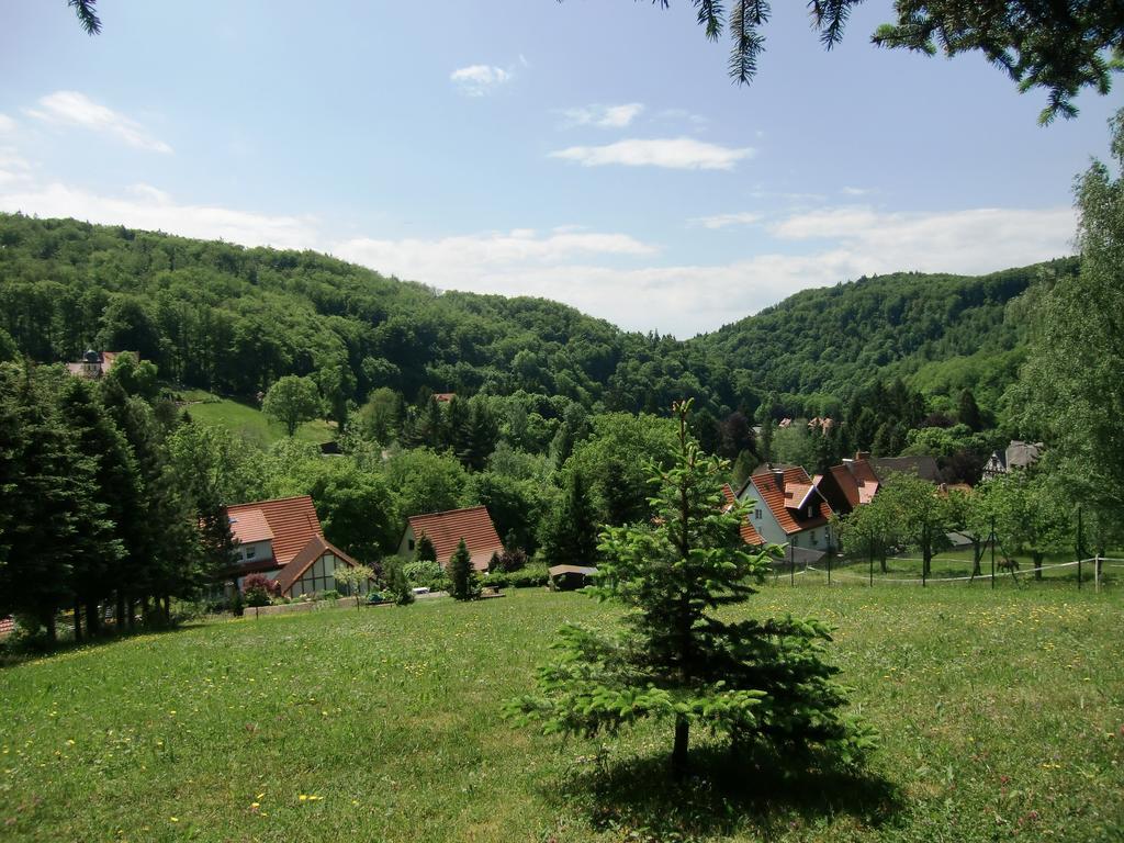 Ferienhaus Haus Am Wald Stolberg  Luaran gambar