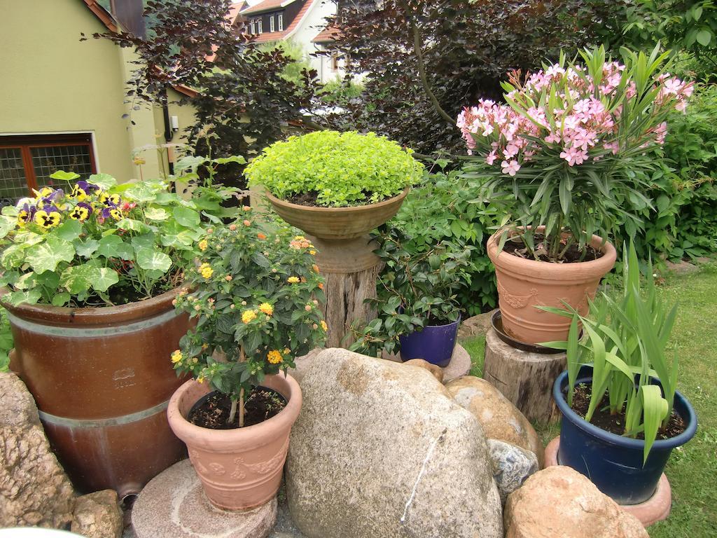 Ferienhaus Haus Am Wald Stolberg  Luaran gambar
