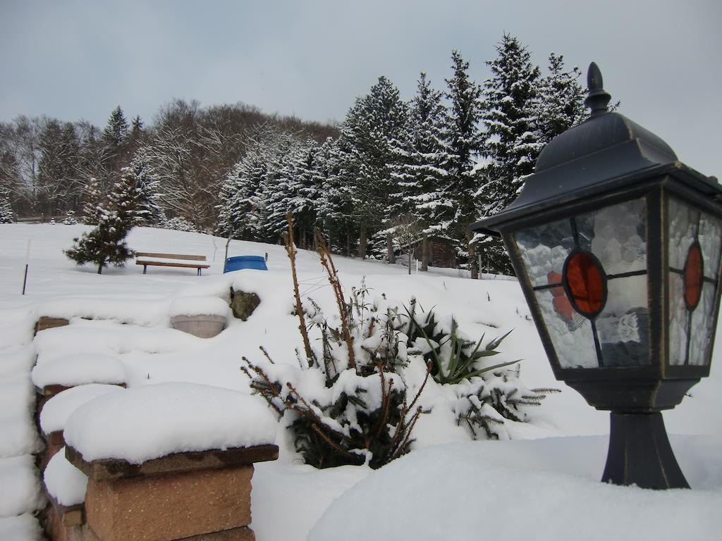 Ferienhaus Haus Am Wald Stolberg  Luaran gambar