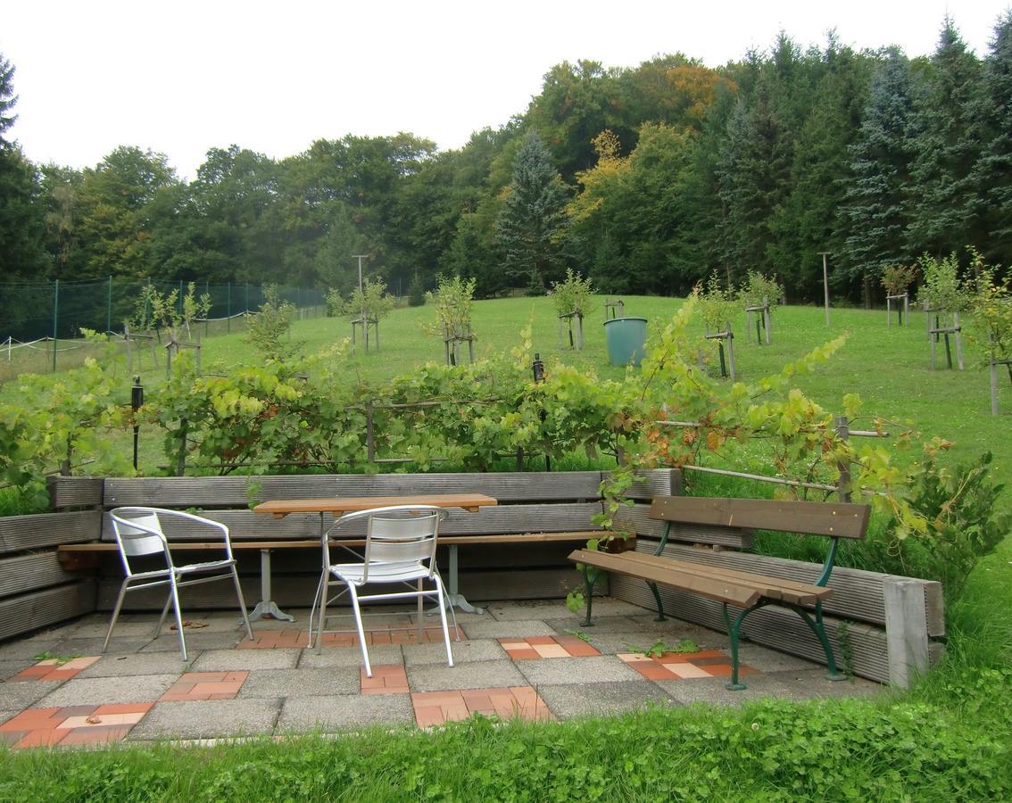 Ferienhaus Haus Am Wald Stolberg  Luaran gambar